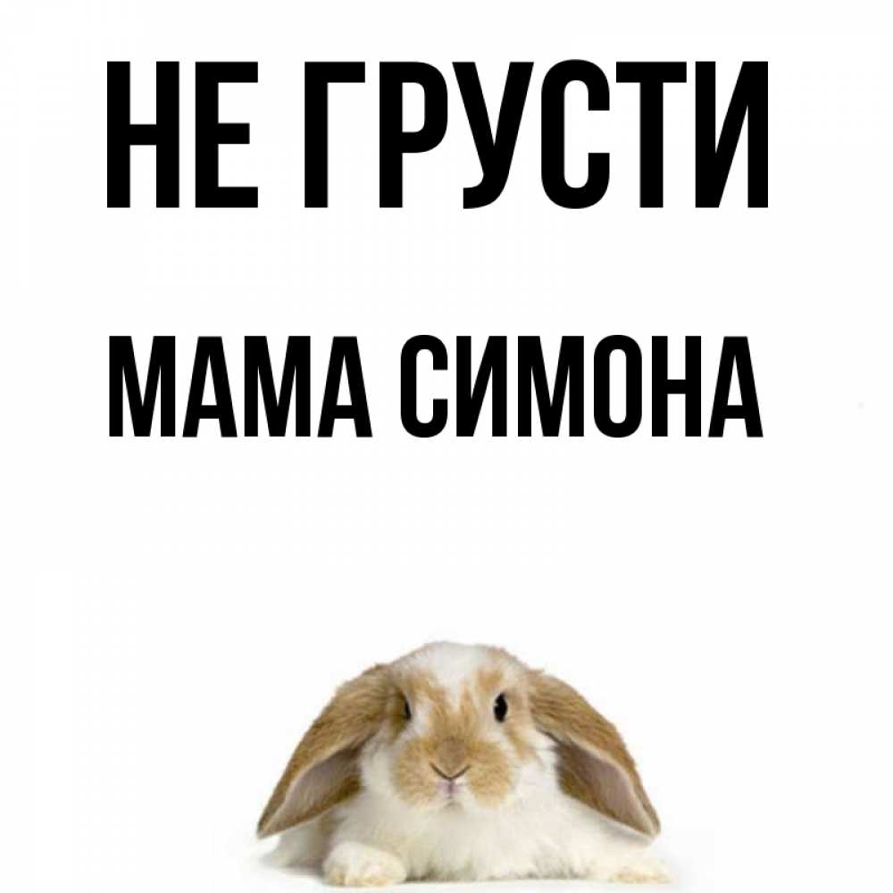 Открытка на каждый день с именем, Мама-Симона Не грусти коричнево белый заяц с большими ушками Прикольная открытка с пожеланием онлайн скачать бесплатно 