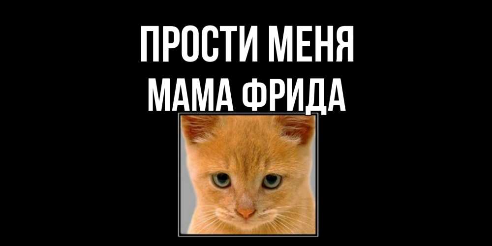Открытка на каждый день с именем, Мама-Фрида Прости меня рыжий грустный кот просит прощения Прикольная открытка с пожеланием онлайн скачать бесплатно 