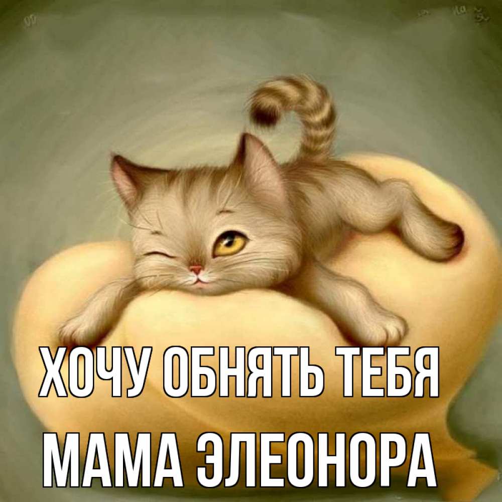 Открытка на каждый день с именем, Мама-Элеонора Хочу обнять тебя кошечка Прикольная открытка с пожеланием онлайн скачать бесплатно 