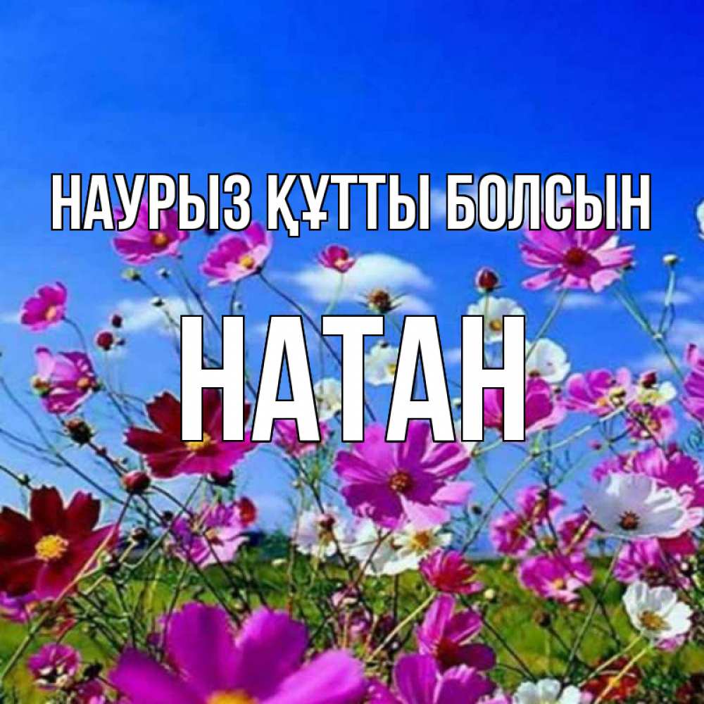 Открытка на каждый день с именем, Натан Наурыз құтты болсын цветы Прикольная открытка с пожеланием онлайн скачать бесплатно 