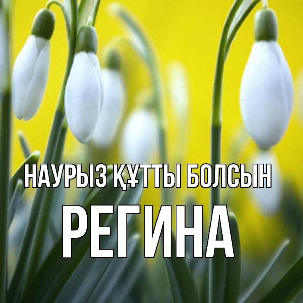 Открытка на каждый день с именем, Регина Наурыз құтты болсын весенние цветы Прикольная открытка с пожеланием онлайн скачать бесплатно 