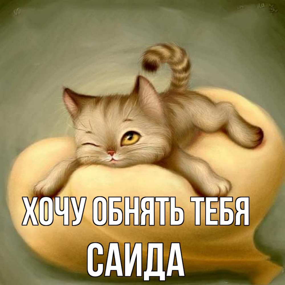 Открытка на каждый день с именем, Саида Хочу обнять тебя кошечка Прикольная открытка с пожеланием онлайн скачать бесплатно 