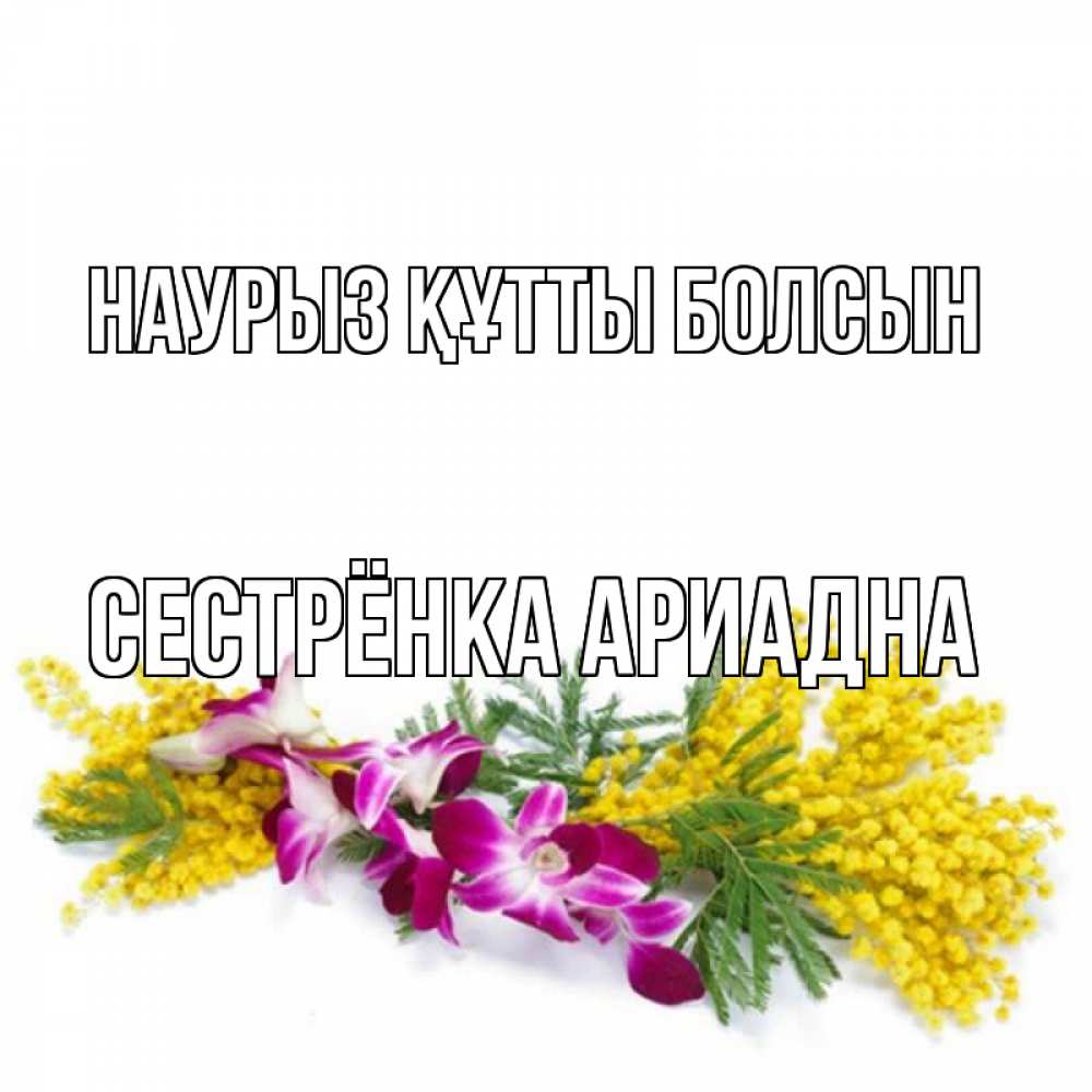 Открытка на каждый день с именем, Сестрёнка-Ариадна Наурыз құтты болсын открытка  наурыз с цветами  1 Прикольная открытка с пожеланием онлайн скачать бесплатно 