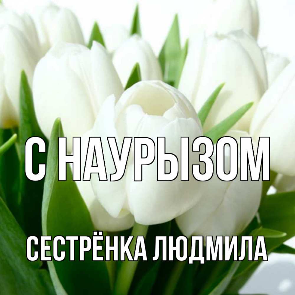 Открытка на каждый день с именем, Сестрёнка-Людмила С наурызом цветы Прикольная открытка с пожеланием онлайн скачать бесплатно 