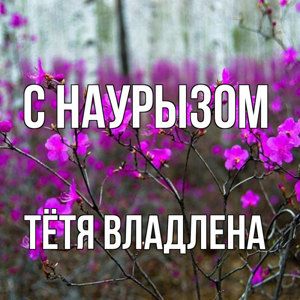 Открытка на каждый день с именем, Тётя-Владлена С наурызом дикие цветы Прикольная открытка с пожеланием онлайн скачать бесплатно 