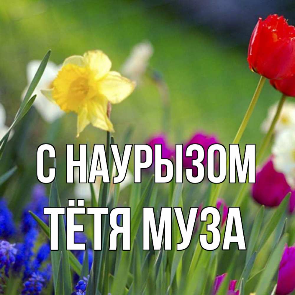 Открытка на каждый день с именем, Тётя-Муза С наурызом праздник весны наурыз 3 Прикольная открытка с пожеланием онлайн скачать бесплатно 