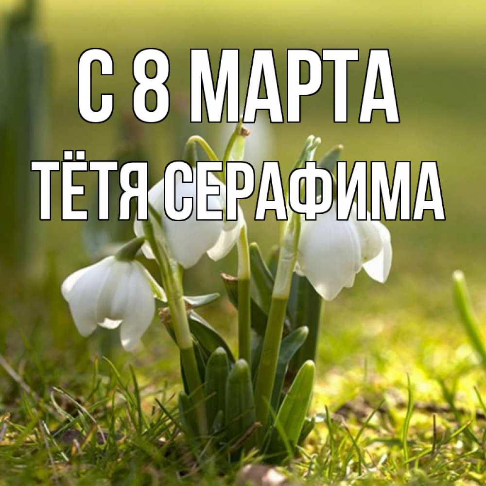 Открытка на каждый день с именем, Тётя-Серафима С 8 МАРТА ранние цветы 2 Прикольная открытка с пожеланием онлайн скачать бесплатно 