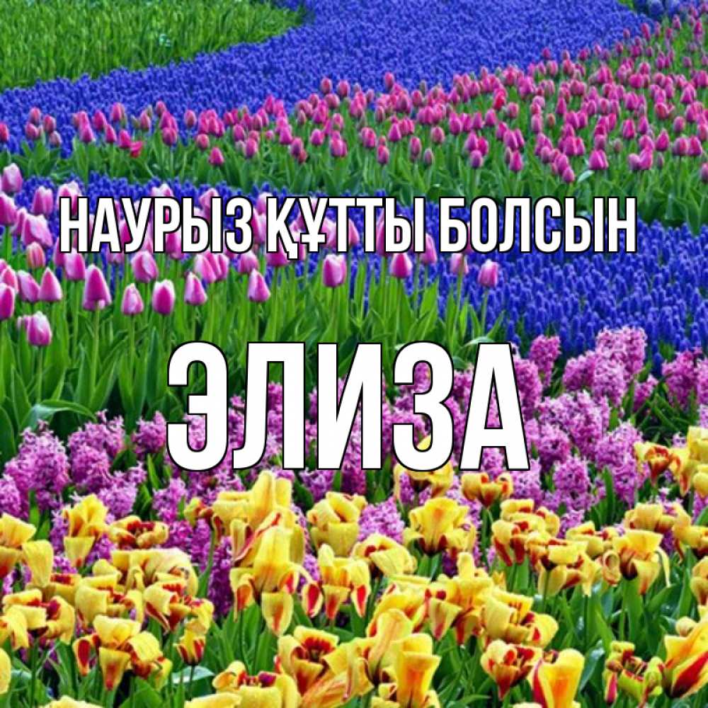 Открытка на каждый день с именем, Элиза Наурыз құтты болсын цветы Прикольная открытка с пожеланием онлайн скачать бесплатно 