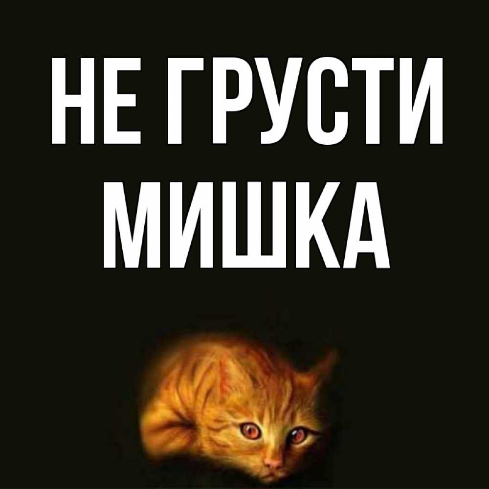 Днем, картинки мишки с надписью не грусти