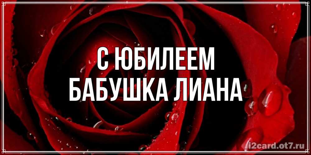 Открытка на каждый день с именем, Бабушка-Лиана С юбилеем крупная бордовая роза Прикольная открытка с пожеланием онлайн скачать бесплатно 