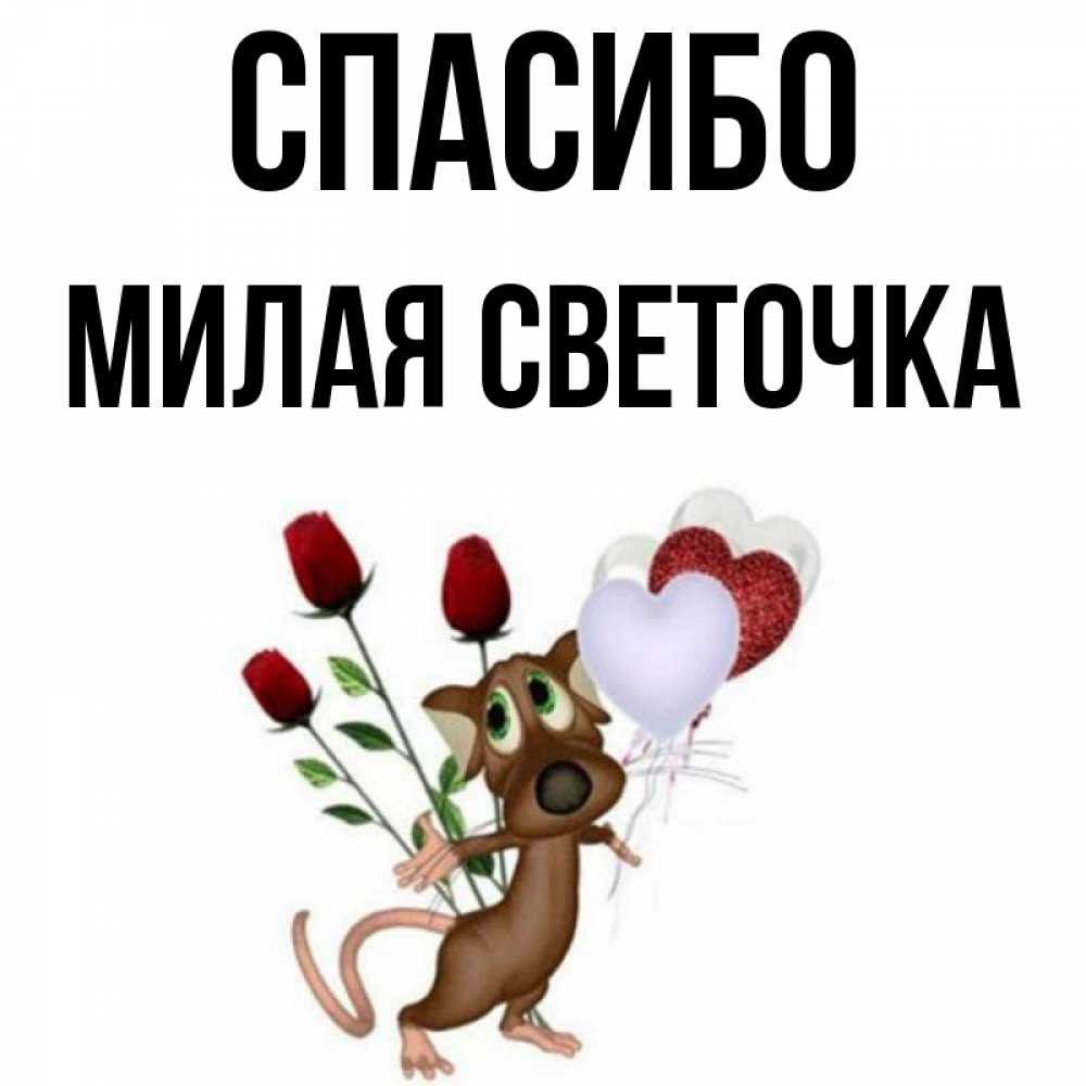 Светочка конфеточка картинки