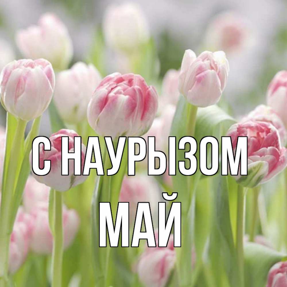 Открытка на каждый день с именем, Май С наурызом цветы Прикольная открытка с пожеланием онлайн скачать бесплатно 