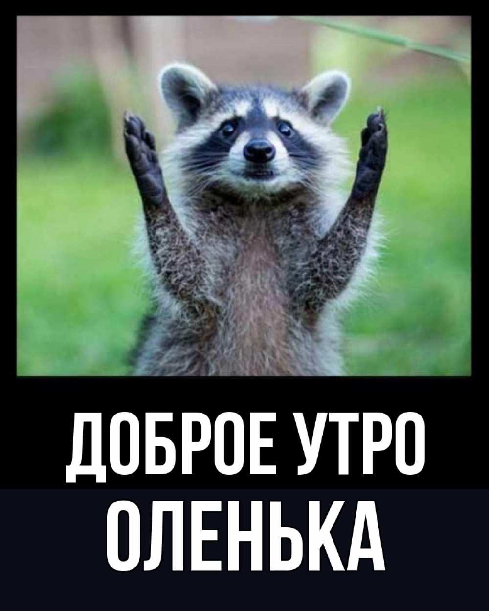 Доброе утро женька