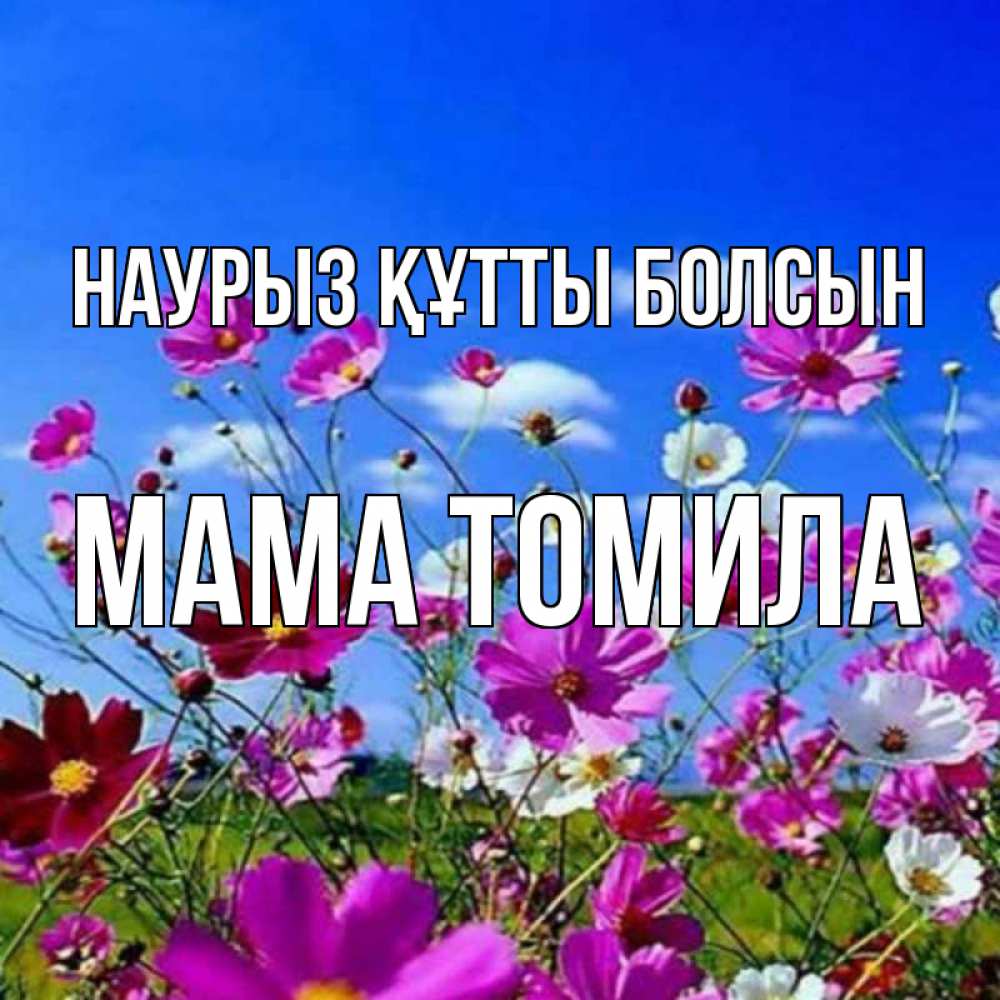 Открытка на каждый день с именем, Мама-Томила Наурыз құтты болсын цветы Прикольная открытка с пожеланием онлайн скачать бесплатно 