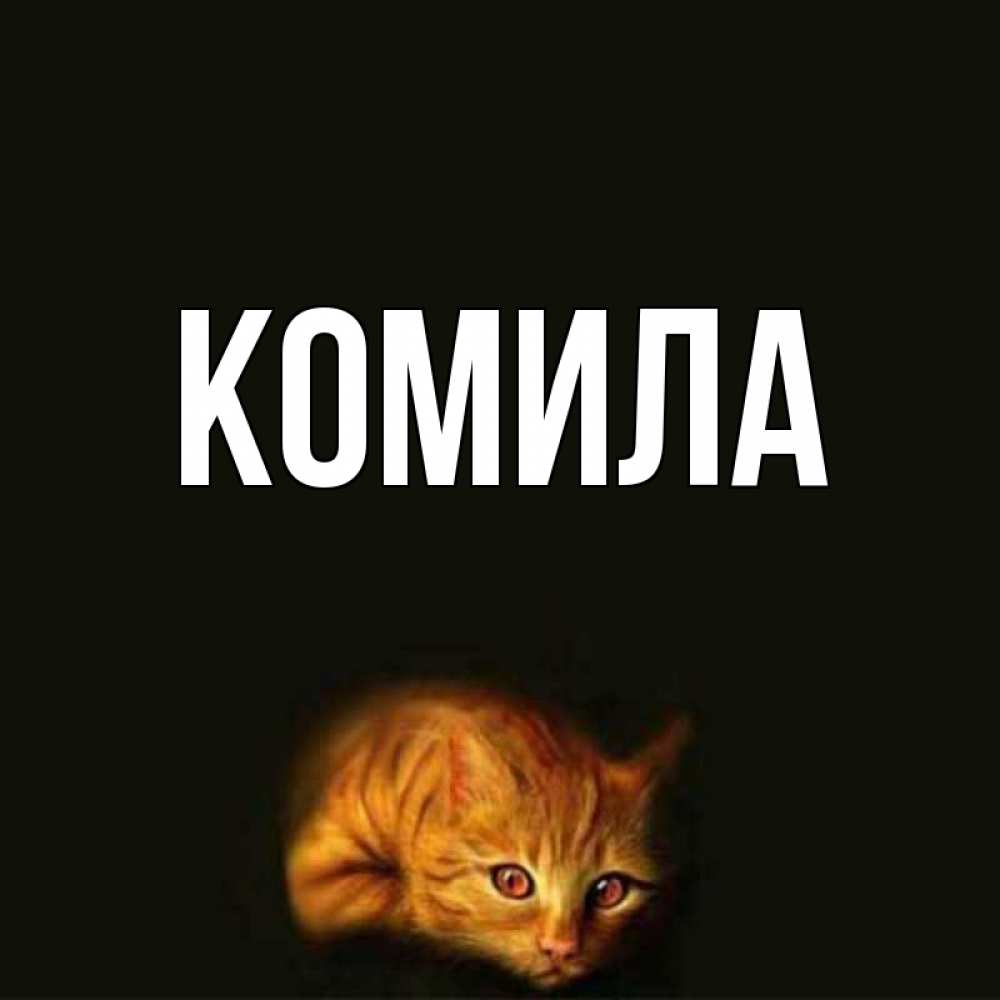 Открытка на каждый день с именем, Комила Главная лежащий кот в темноте Прикольная открытка с пожеланием онлайн скачать бесплатно 