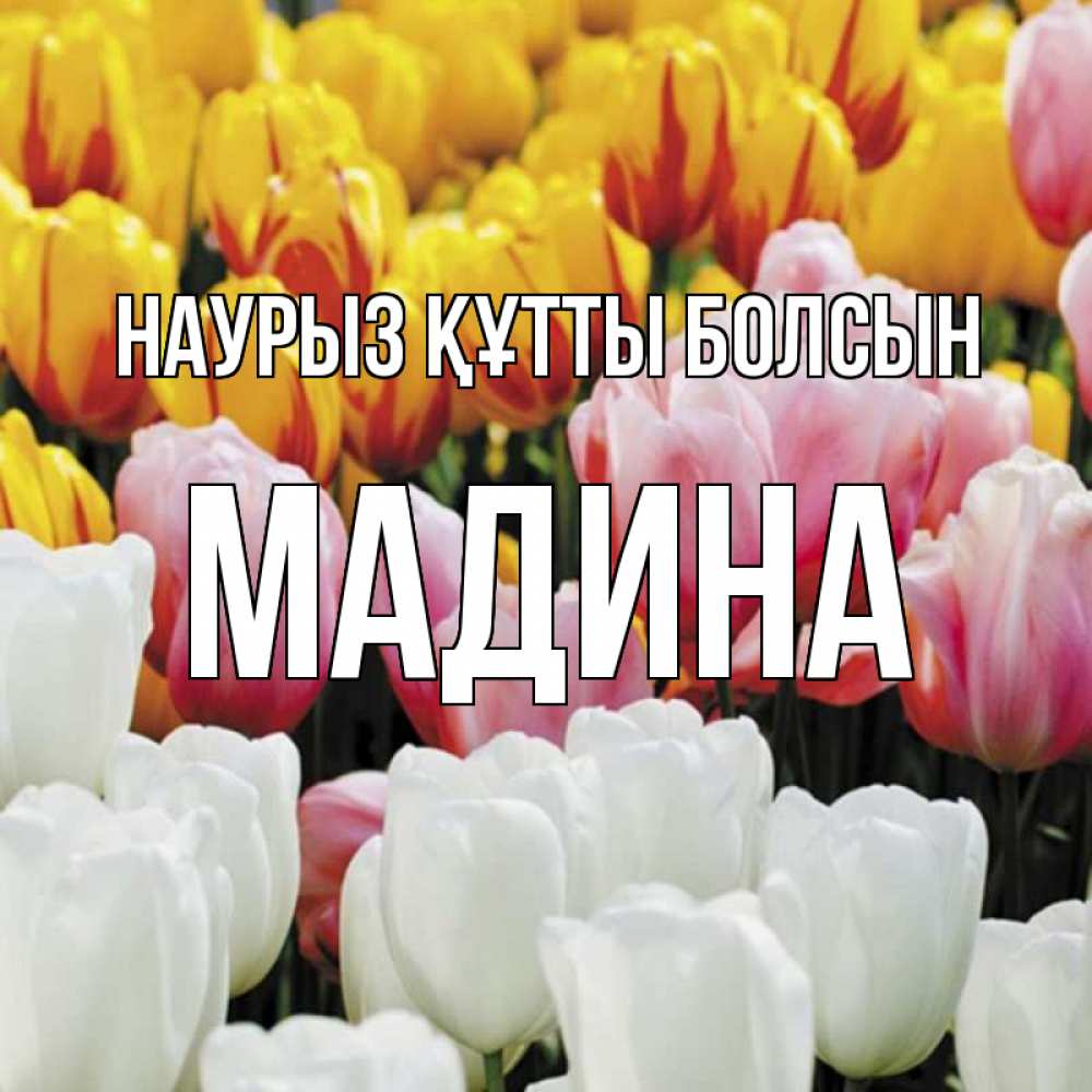 Открытка на каждый день с именем, Мадина Наурыз құтты болсын разноцветные цветы Прикольная открытка с пожеланием онлайн скачать бесплатно 