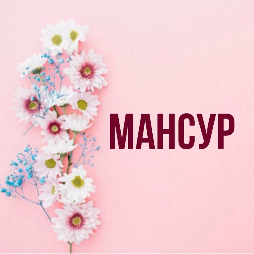 Мансур с днем рождения картинки