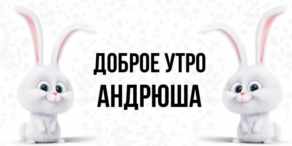 Андрюша Доброе Утро