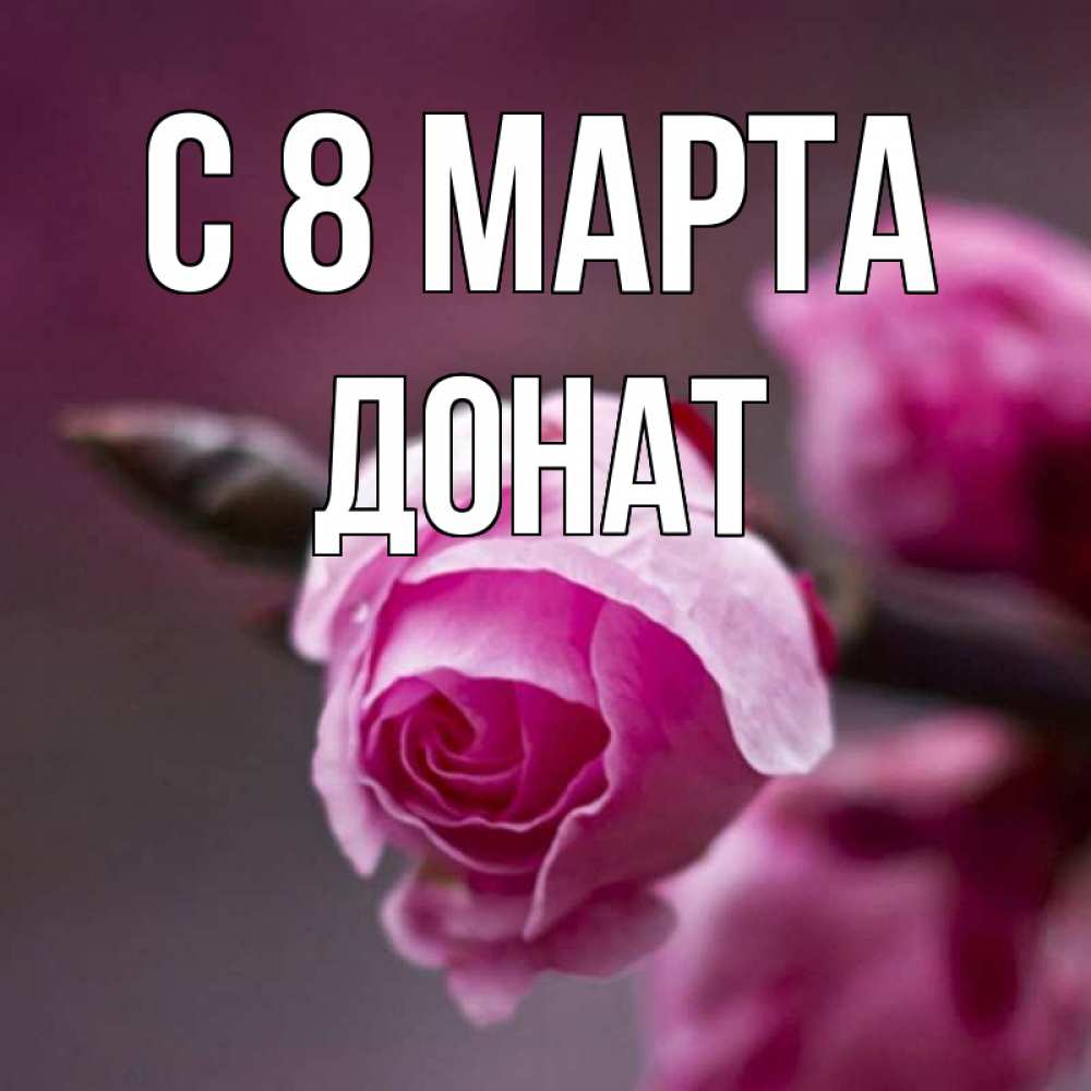 Открытка на каждый день с именем, Донат С 8 МАРТА весна Прикольная открытка с пожеланием онлайн скачать бесплатно 