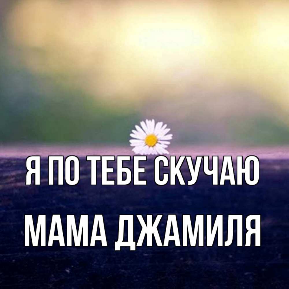 Открытка на каждый день с именем, Мама-Джамиля Я по тебе скучаю приходи в гости Прикольная открытка с пожеланием онлайн скачать бесплатно 