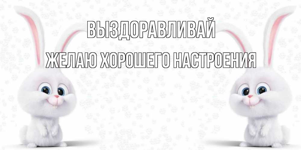 Открытка на каждый день с именем, желаю-хорошего-настроения Выздоравливай не болей с зайцем Прикольная открытка с пожеланием онлайн скачать бесплатно 