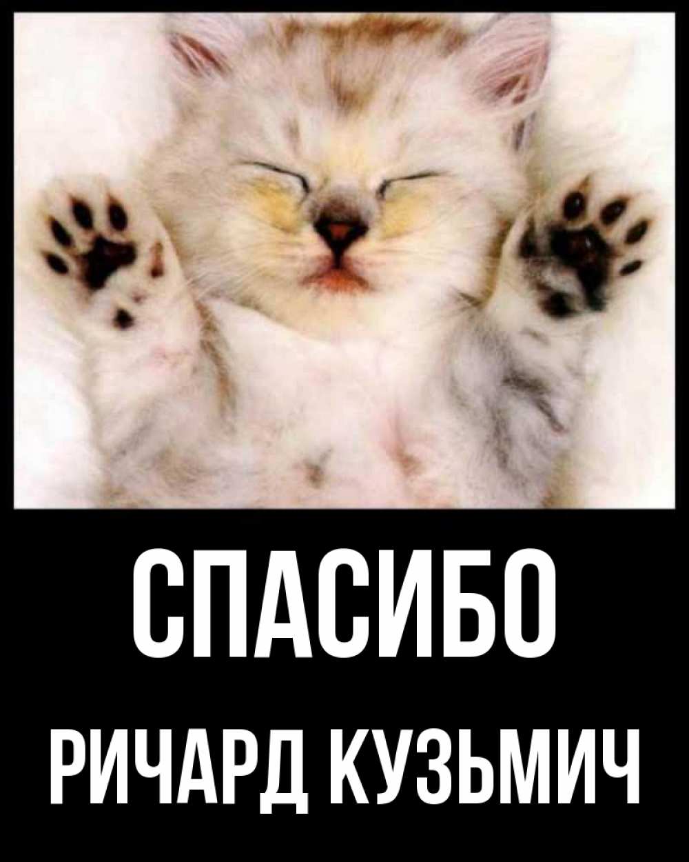 Открытка спасибо с котиком