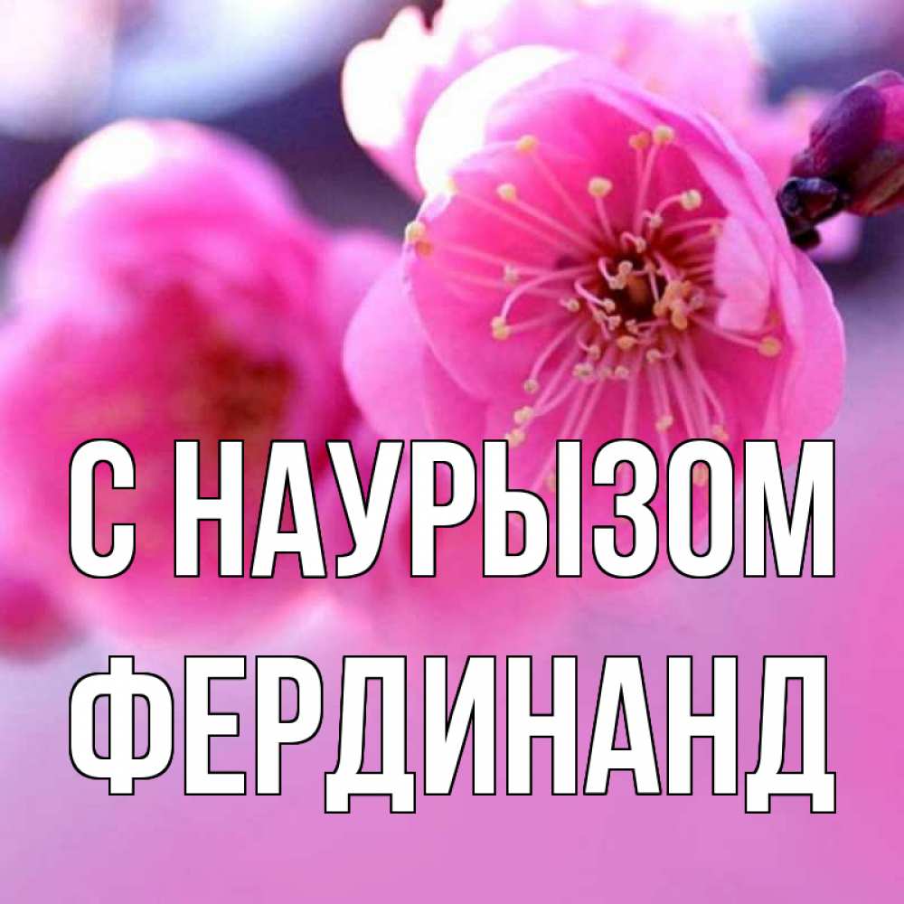 Открытка на каждый день с именем, Фердинанд С наурызом международный женский день Прикольная открытка с пожеланием онлайн скачать бесплатно 