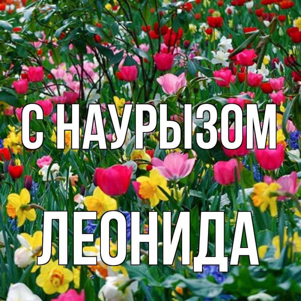 Открытка на каждый день с именем, Леонида С наурызом с наурызом праздником весны поздравления для женщины Прикольная открытка с пожеланием онлайн скачать бесплатно 