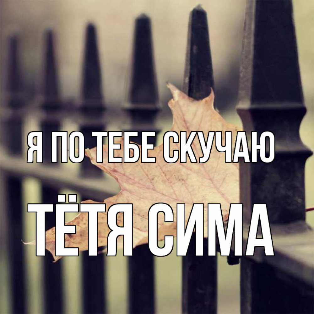 Открытка на каждый день с именем, Тётя-Сима Я по тебе скучаю очень скучно Прикольная открытка с пожеланием онлайн скачать бесплатно 