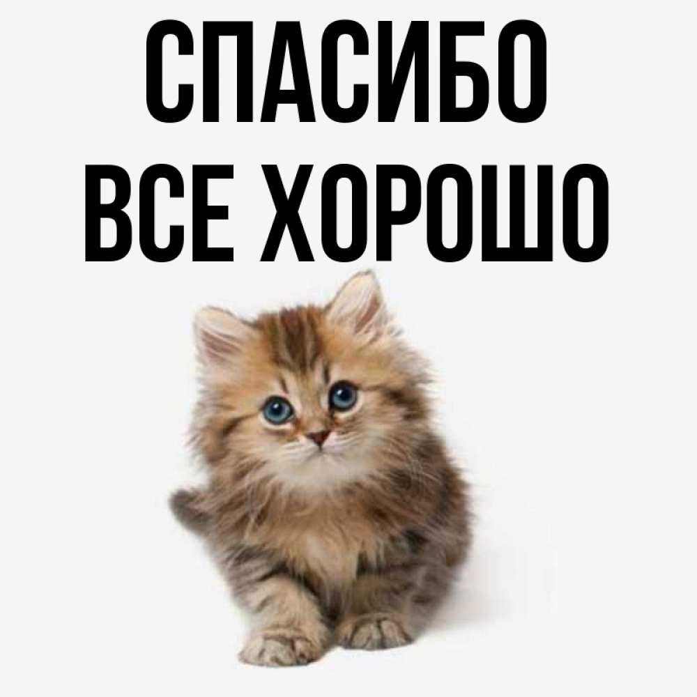 Открытка с именем, Все хорошо, Спасибо