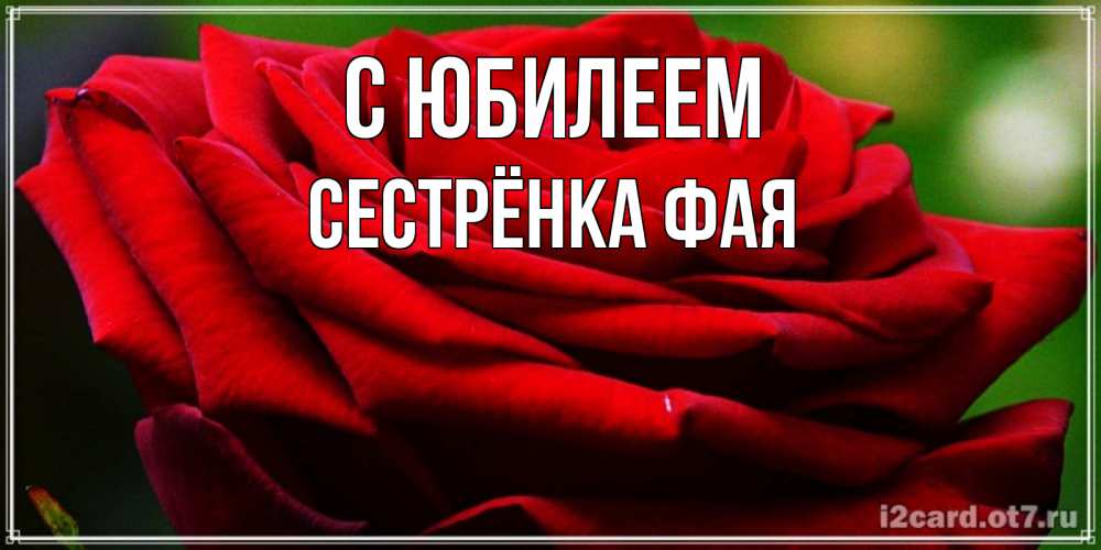 Открытка на каждый день с именем, Сестрёнка-Фая С юбилеем розочка очень красивая Прикольная открытка с пожеланием онлайн скачать бесплатно 