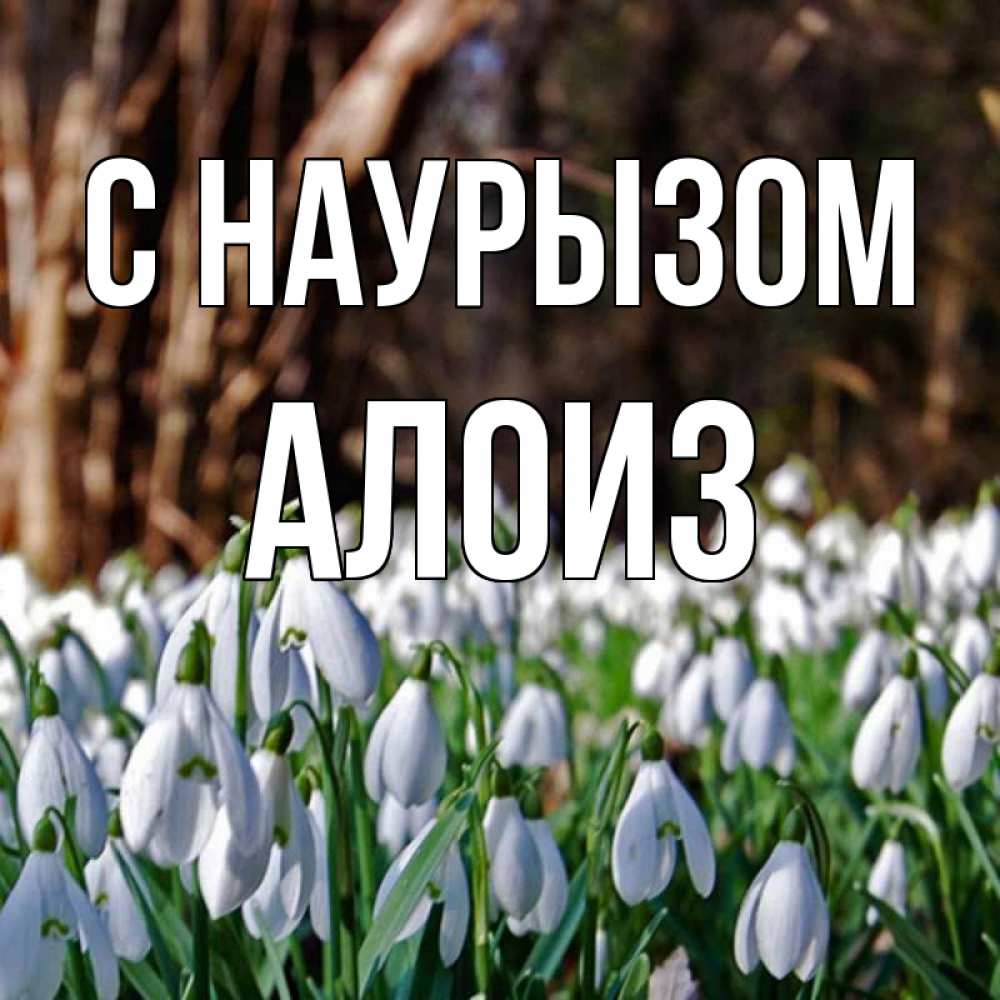 Открытка на каждый день с именем, Алоиз С наурызом с подснежниками 1 Прикольная открытка с пожеланием онлайн скачать бесплатно 