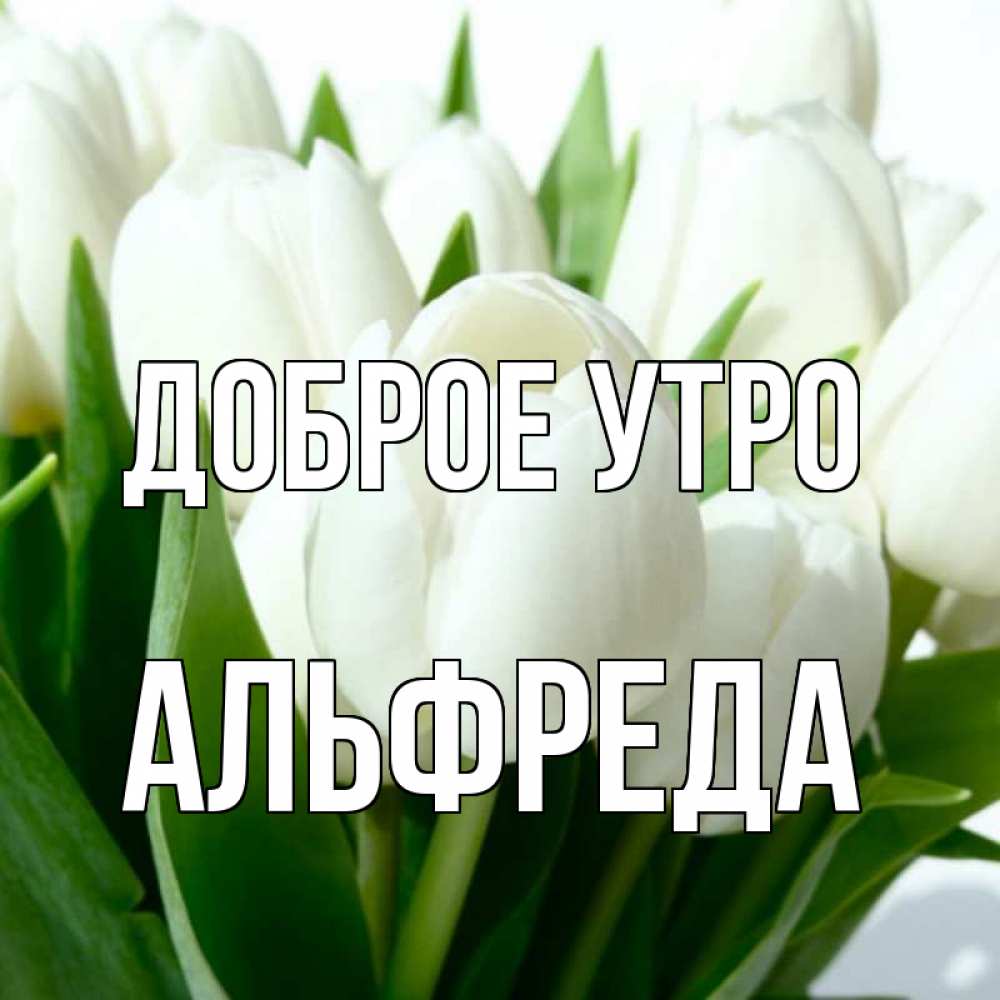 Открытка на каждый день с именем, Альфреда Доброе утро открытки на каждый день по именам Прикольная открытка с пожеланием онлайн скачать бесплатно 