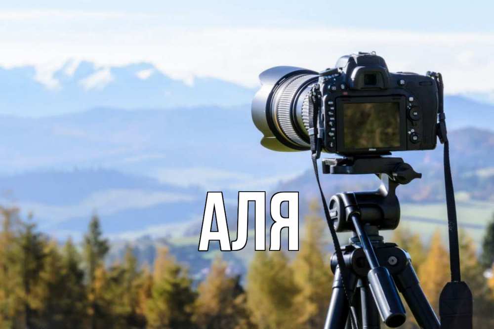 Открытка на каждый день с именем, Аля Главная с днем фотографа Прикольная открытка с пожеланием онлайн скачать бесплатно 