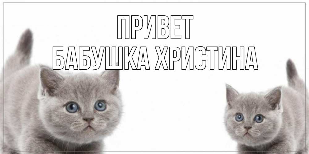 Открытка на каждый день с именем, Бабушка-Христина Привет коты Прикольная открытка с пожеланием онлайн скачать бесплатно 