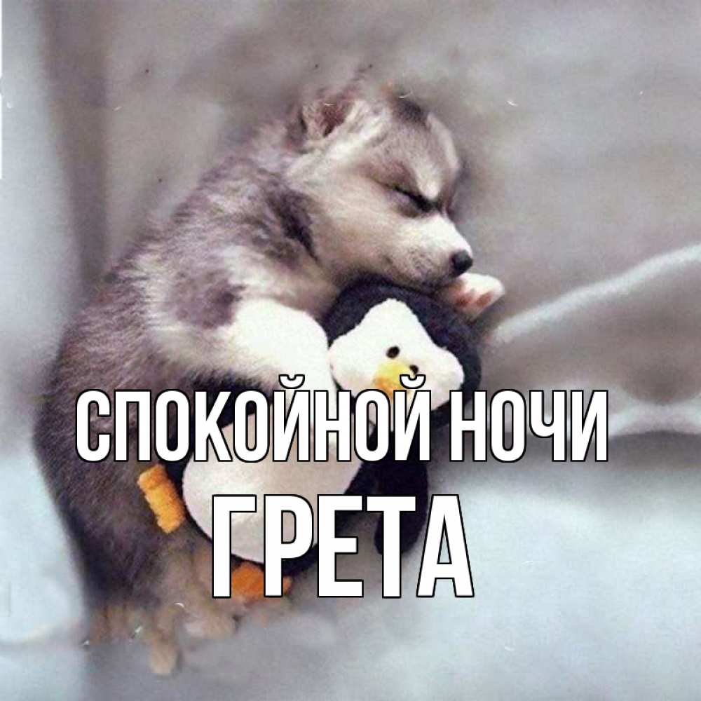 Открытка на каждый день с именем, Грета Спокойной ночи обнимашки щенка и пингвина Прикольная открытка с пожеланием онлайн скачать бесплатно 