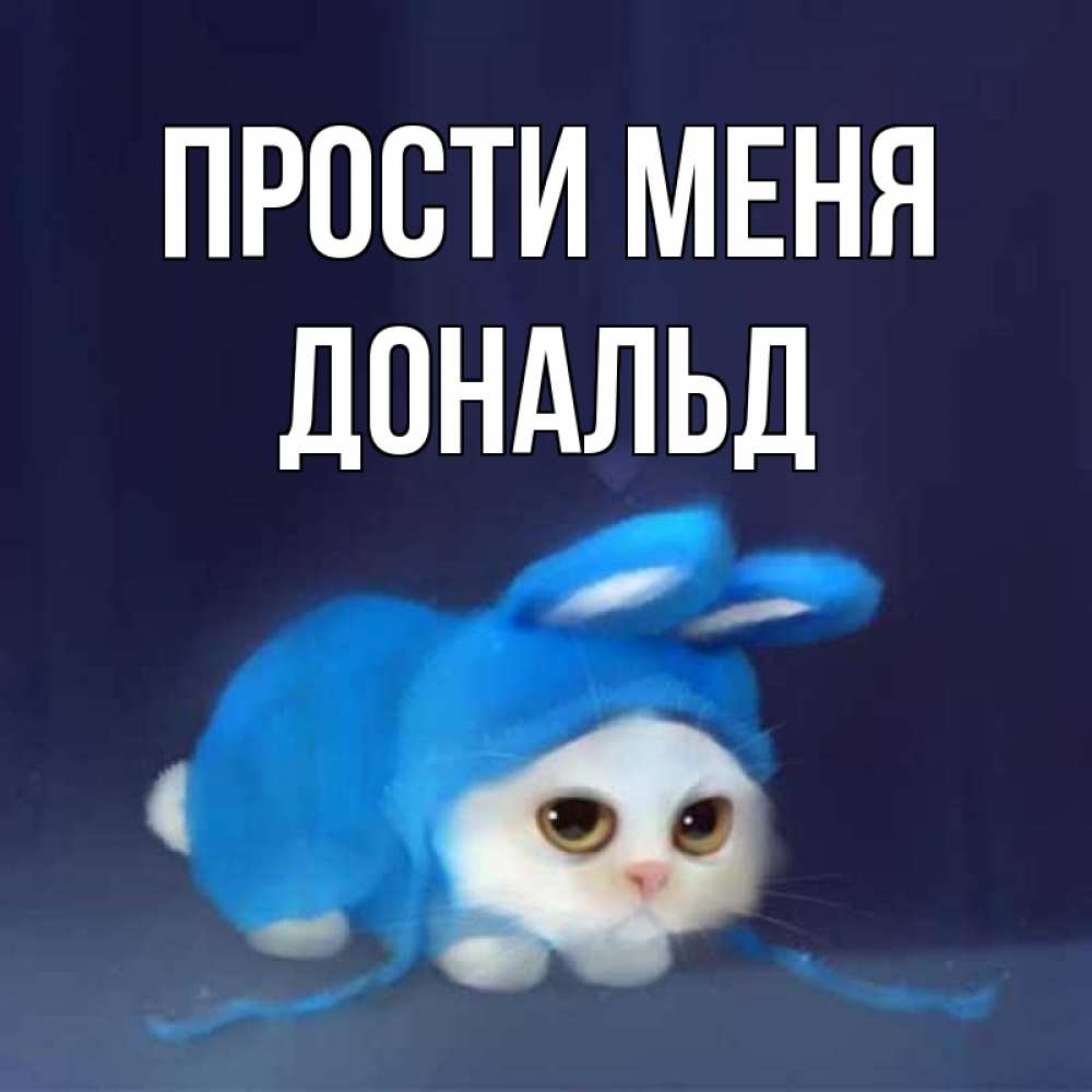 Открытка на каждый день с именем, Дональд Прости меня невинный котозай просит прощения Прикольная открытка с пожеланием онлайн скачать бесплатно 