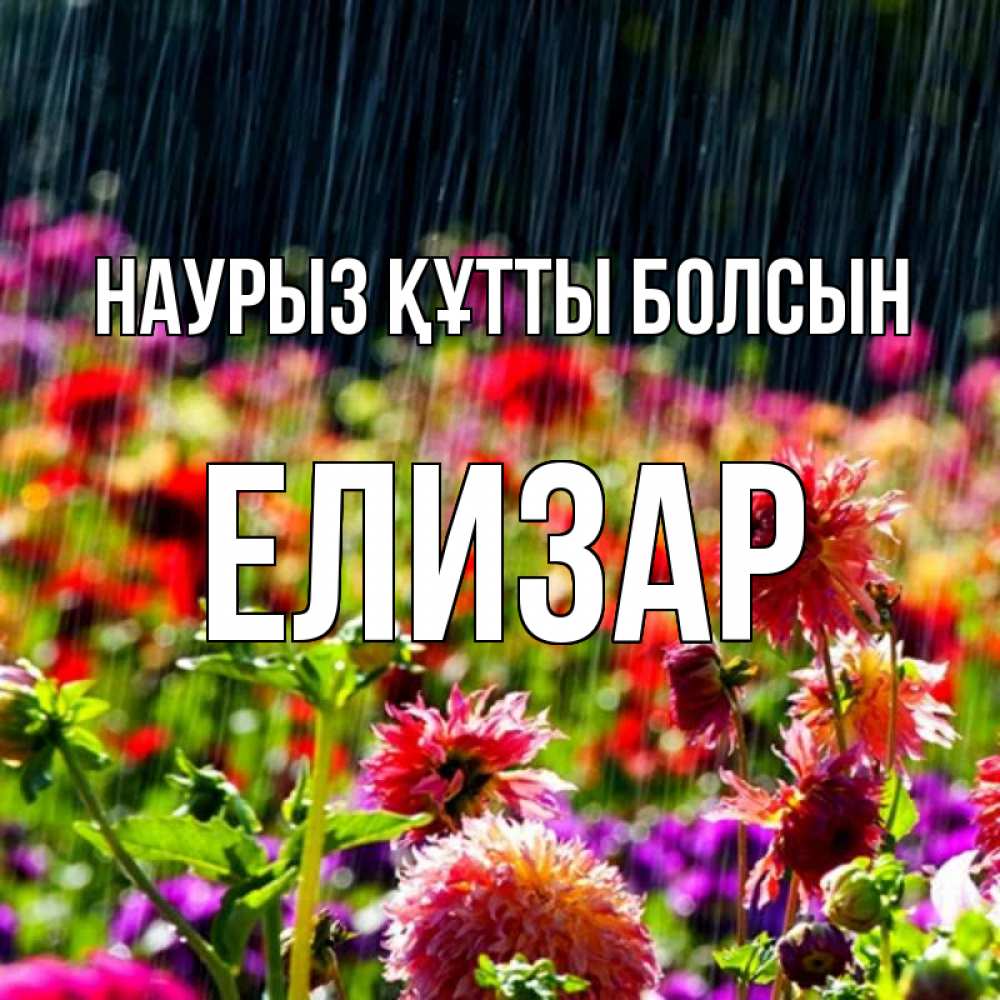 Открытка на каждый день с именем, Елизар Наурыз құтты болсын цветы под дождиком к наурызу Прикольная открытка с пожеланием онлайн скачать бесплатно 
