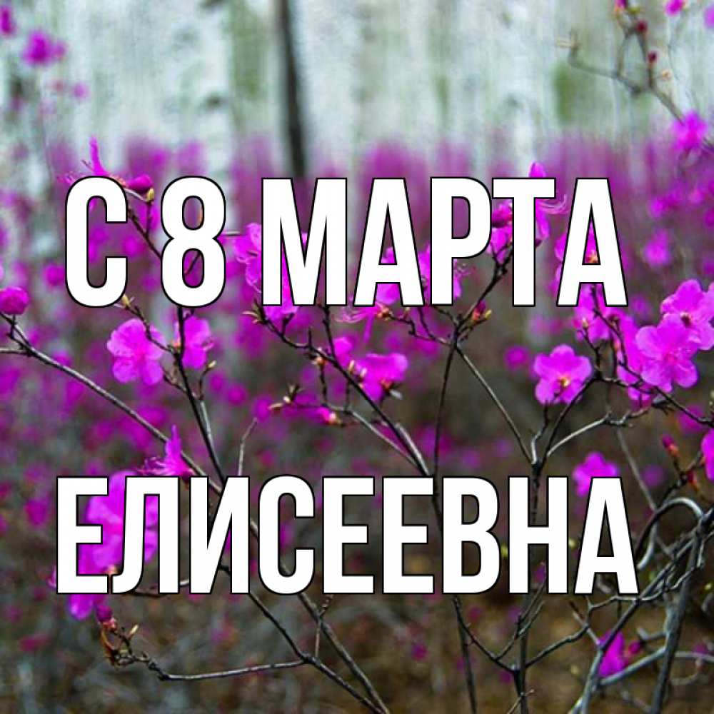 Открытка на каждый день с именем, Елисеевна С 8 марта дикие цветы Прикольная открытка с пожеланием онлайн скачать бесплатно 