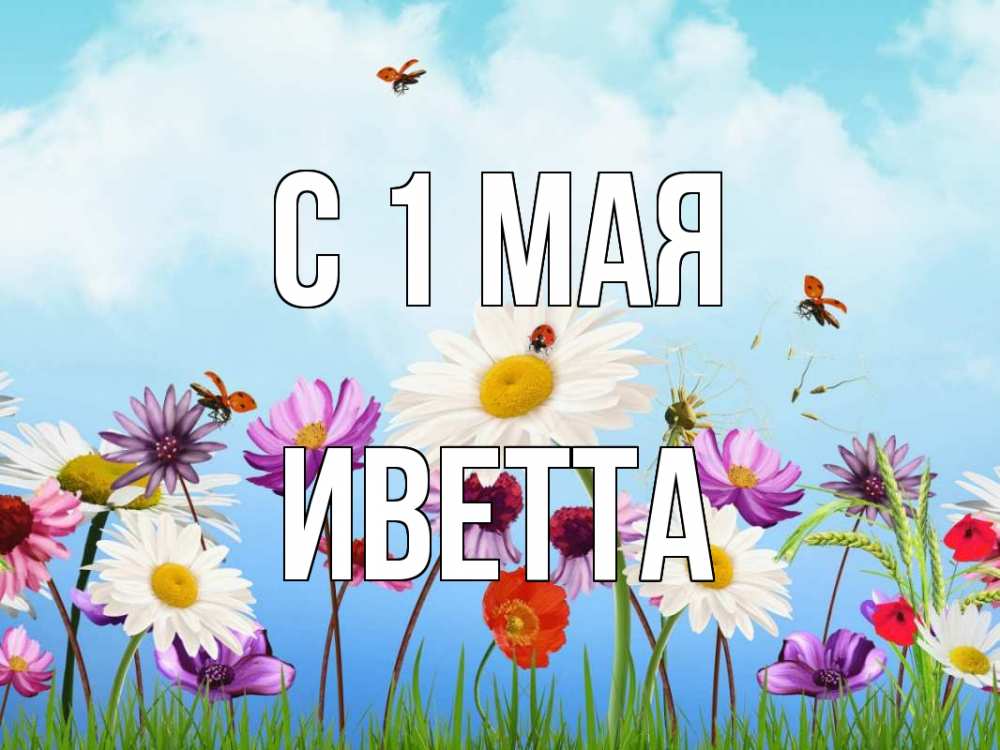 Открытка на каждый день с именем, Иветта С 1 мая С 1 мая Прикольная открытка с пожеланием онлайн скачать бесплатно 