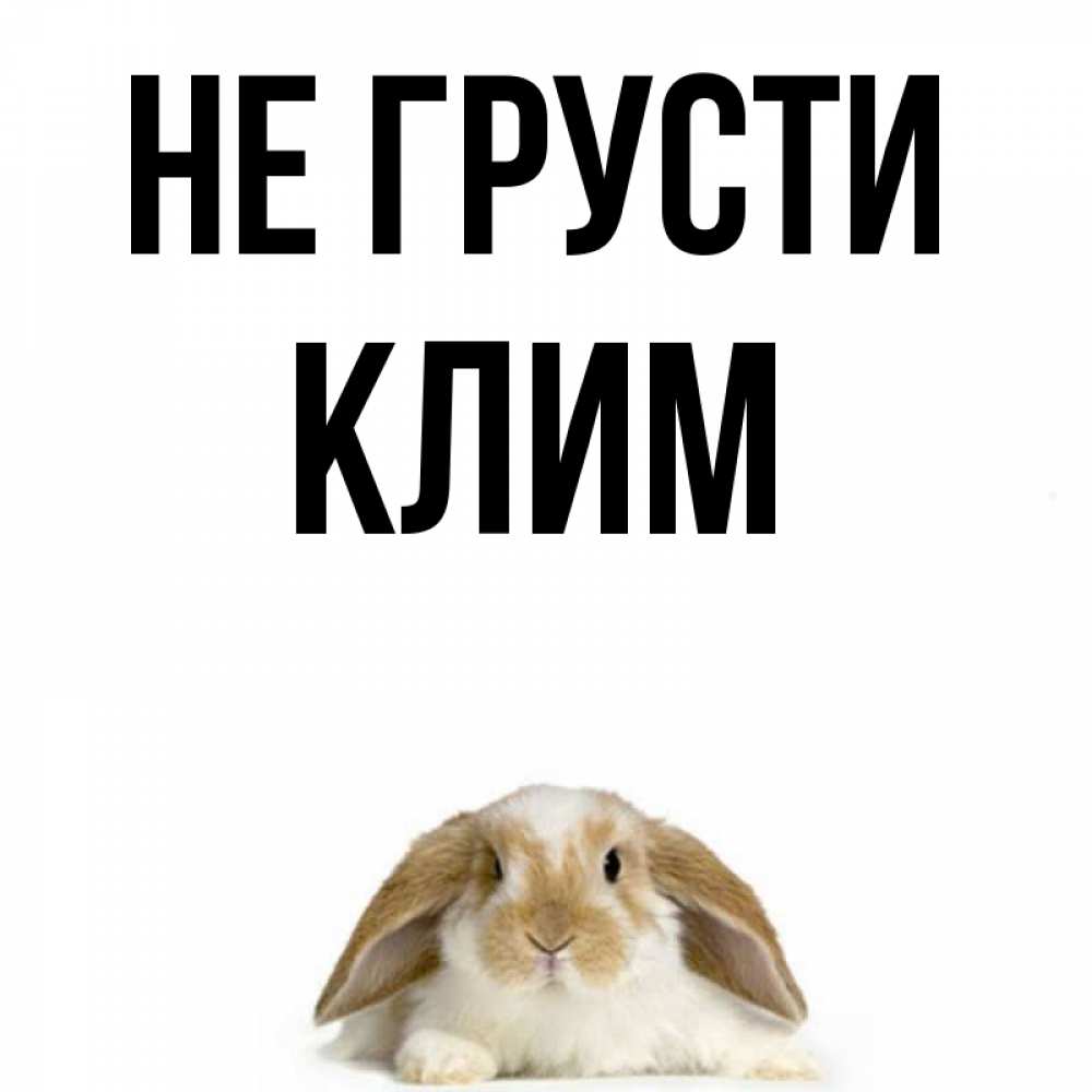 Открытка на каждый день с именем, Клим Не грусти коричнево белый заяц с большими ушками Прикольная открытка с пожеланием онлайн скачать бесплатно 