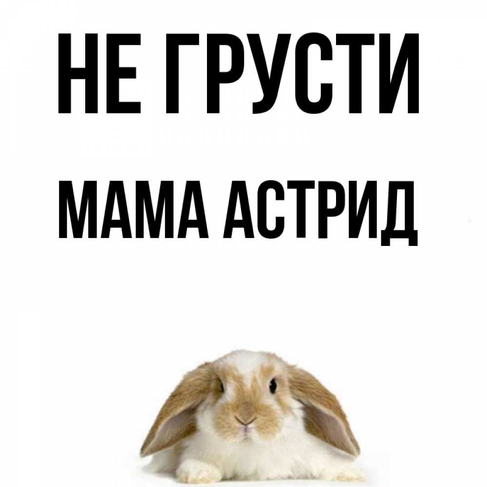 Открытка на каждый день с именем, Мама-Астрид Не грусти коричнево белый заяц с большими ушками Прикольная открытка с пожеланием онлайн скачать бесплатно 