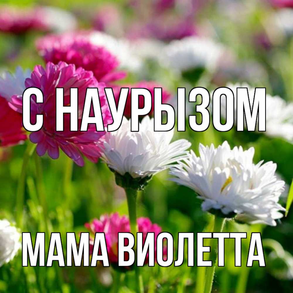 Открытка на каждый день с именем, Мама-Виолетта С наурызом праздник весны наурыз красота Прикольная открытка с пожеланием онлайн скачать бесплатно 