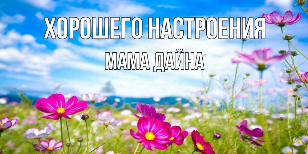 Открытка на каждый день с именем, Мама-Дайна Хорошего настроения поле цветов Прикольная открытка с пожеланием онлайн скачать бесплатно 