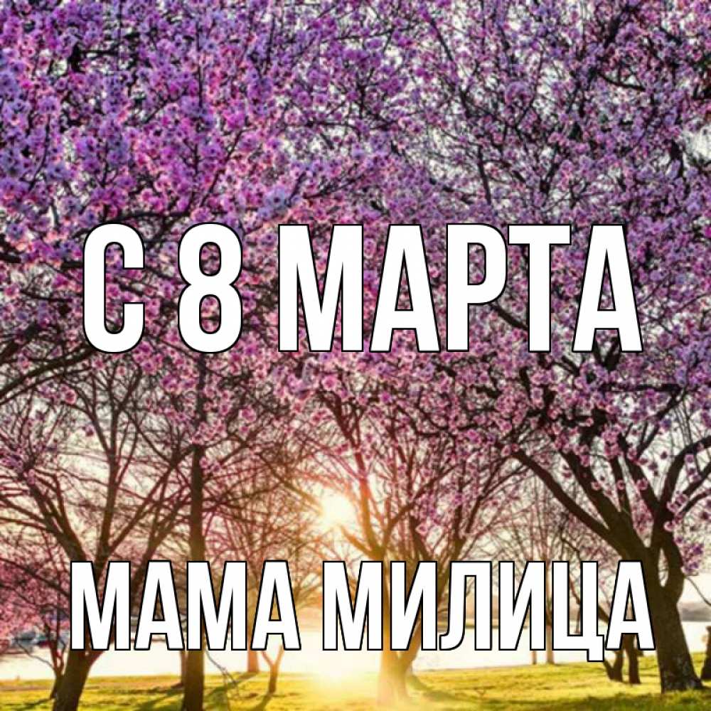 Открытка на каждый день с именем, Мама-Милица С 8 марта международный женский день Прикольная открытка с пожеланием онлайн скачать бесплатно 