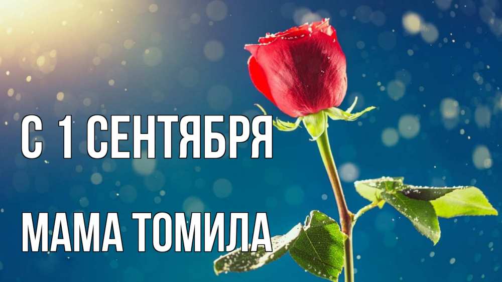 Открытка на каждый день с именем, Мама-Томила С 1 сентября с днем знаний Прикольная открытка с пожеланием онлайн скачать бесплатно 