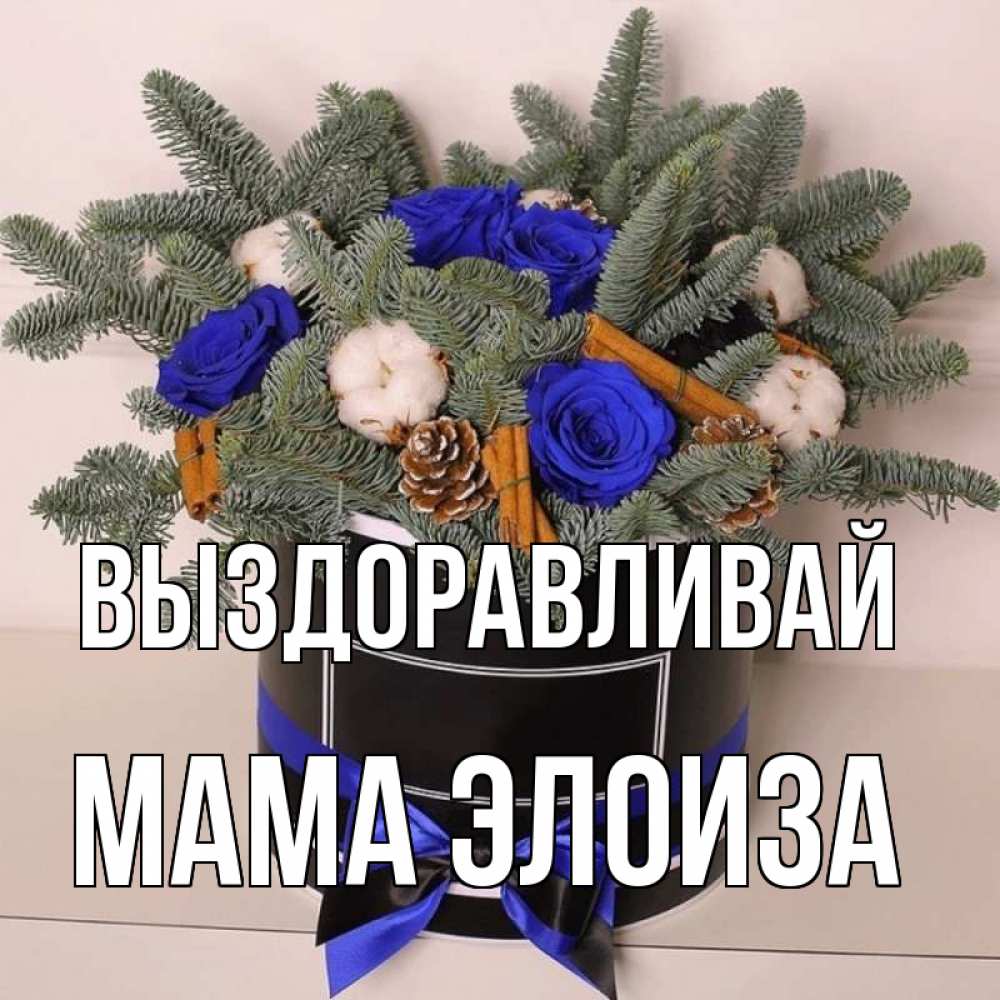 Открытка на каждый день с именем, Мама-Элоиза Выздоравливай короче кто то загрузил эти шишки Прикольная открытка с пожеланием онлайн скачать бесплатно 