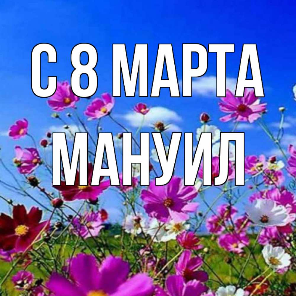 Открытка на каждый день с именем, Мануил С 8 МАРТА цветы Прикольная открытка с пожеланием онлайн скачать бесплатно 