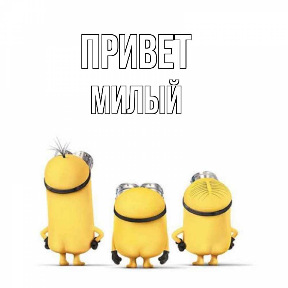 Открытка на каждый день с именем, Милый Привет приветики Прикольная открытка с пожеланием онлайн скачать бесплатно 