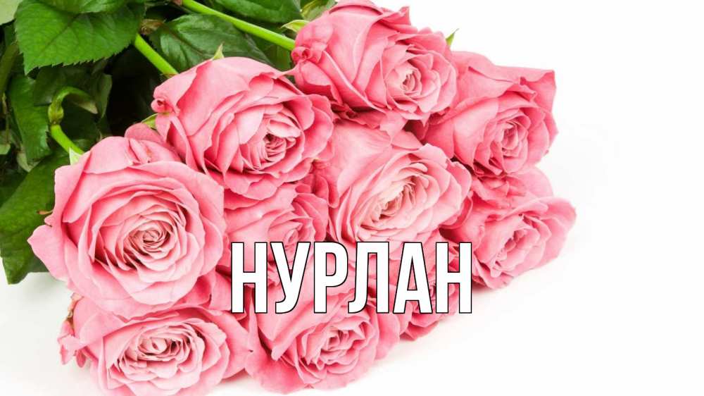 Открытка на каждый день с именем, Нурлан Главная с днем бухгалтера 2 Прикольная открытка с пожеланием онлайн скачать бесплатно 